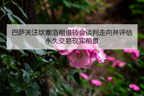 巴萨关注坎塞洛租借转会谈判走向并评估永久交易现实前景